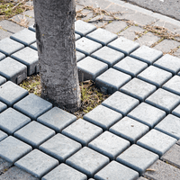 Koku sakņu režģis ECOLOGICO