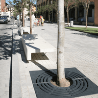 Koku sakņu režģis TAULAT