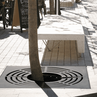 Koku sakņu režģis TAULAT