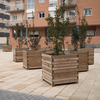 Puķu pods MADERA TALL