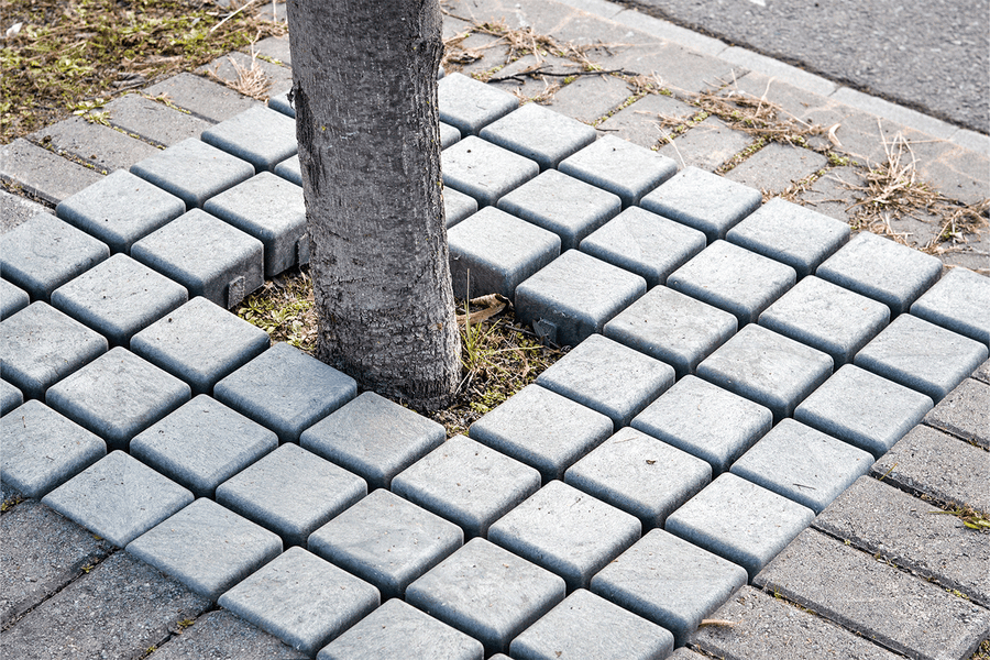 Koku sakņu režģis ECOLOGICO